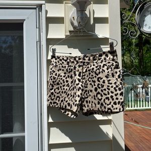 Cache leopard print shorts size 4